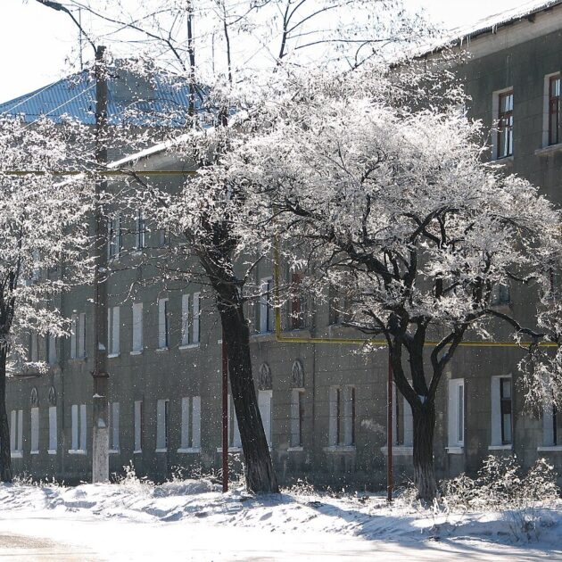Петровская