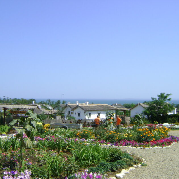 Тамань