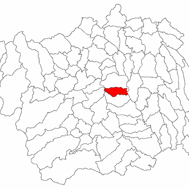 Фараоани