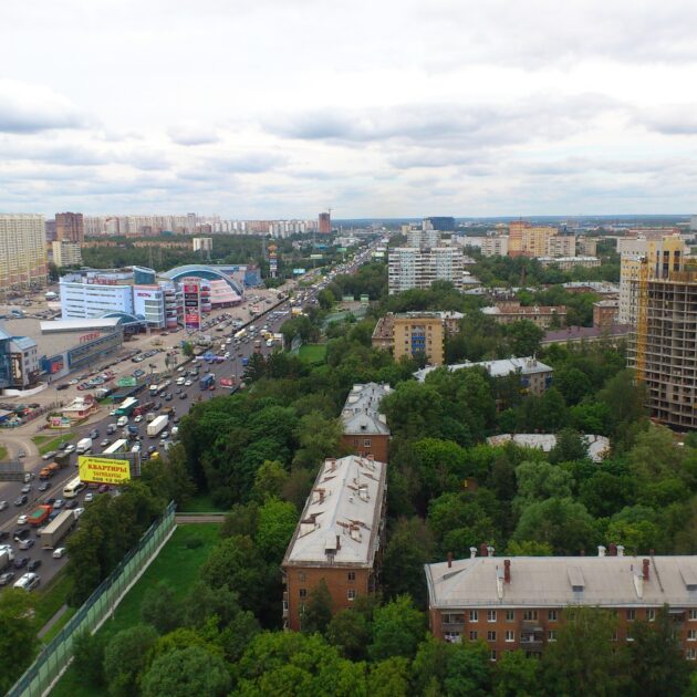 Хоста