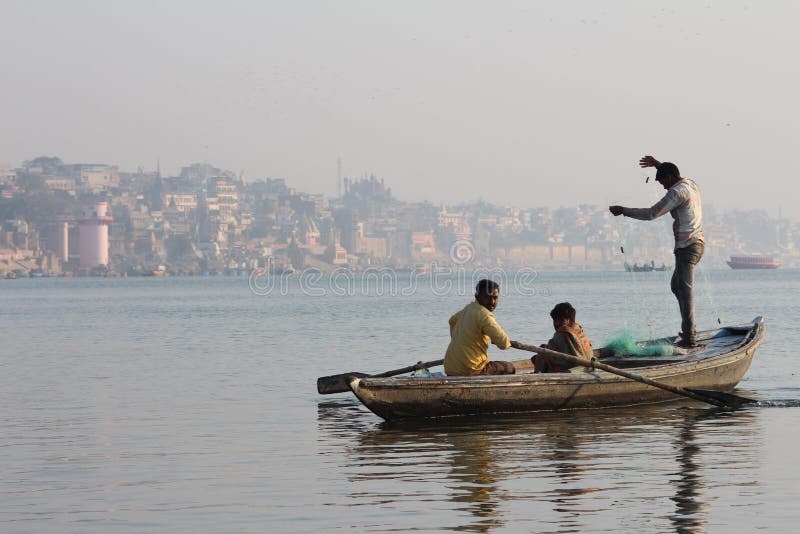 Падарауна