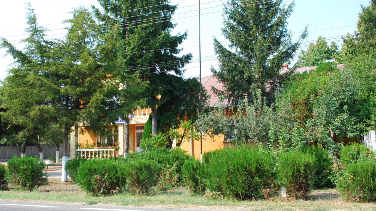 Улмени