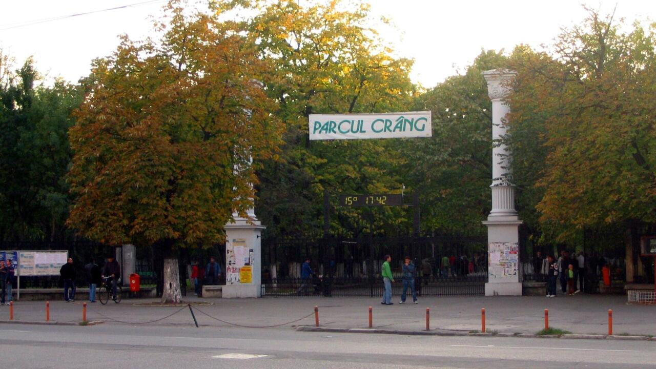 Погоанеле
