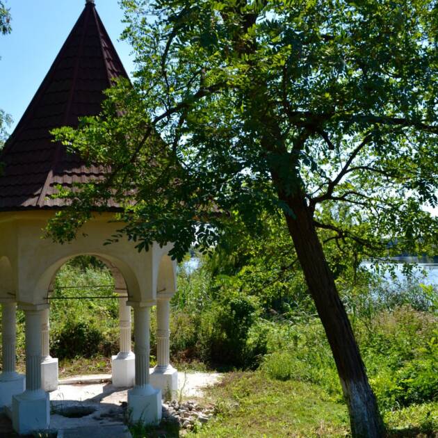 Черница