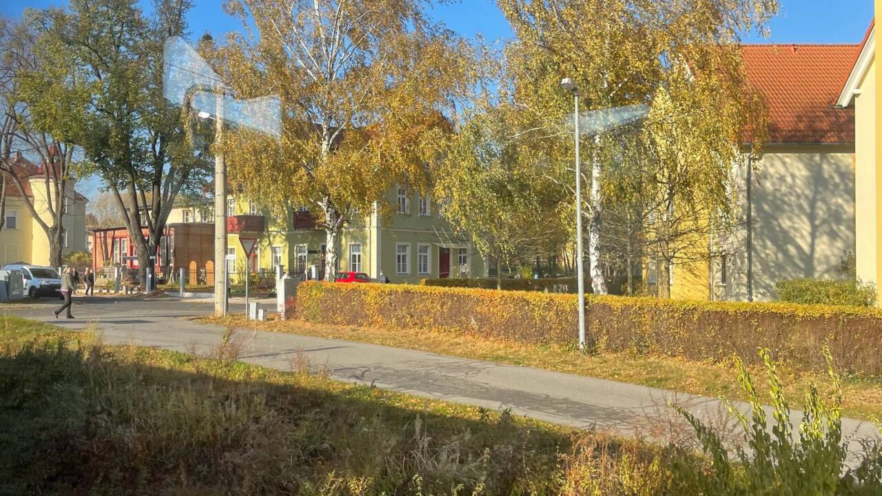Лёссниц