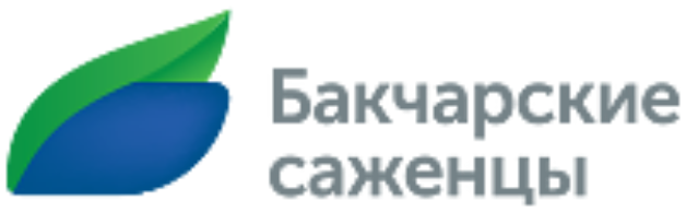 Бакчар
