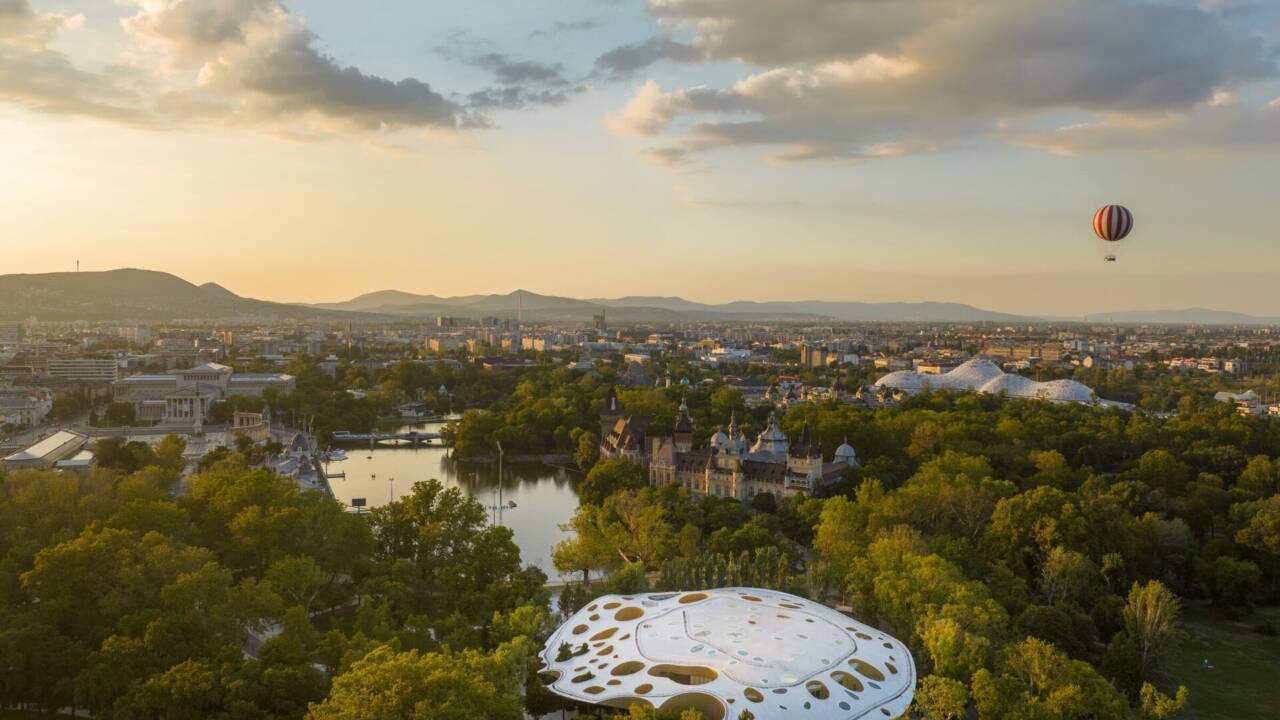 Пакс